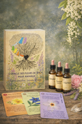 Pack DUO HARMONIE FLORALE
