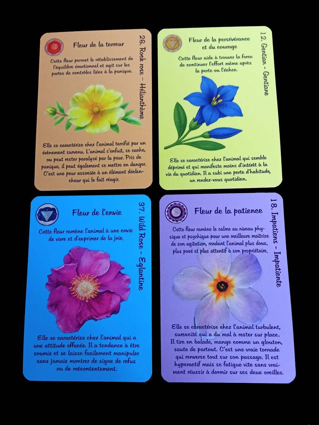 Oracle des Fleurs de Bach pour animaux