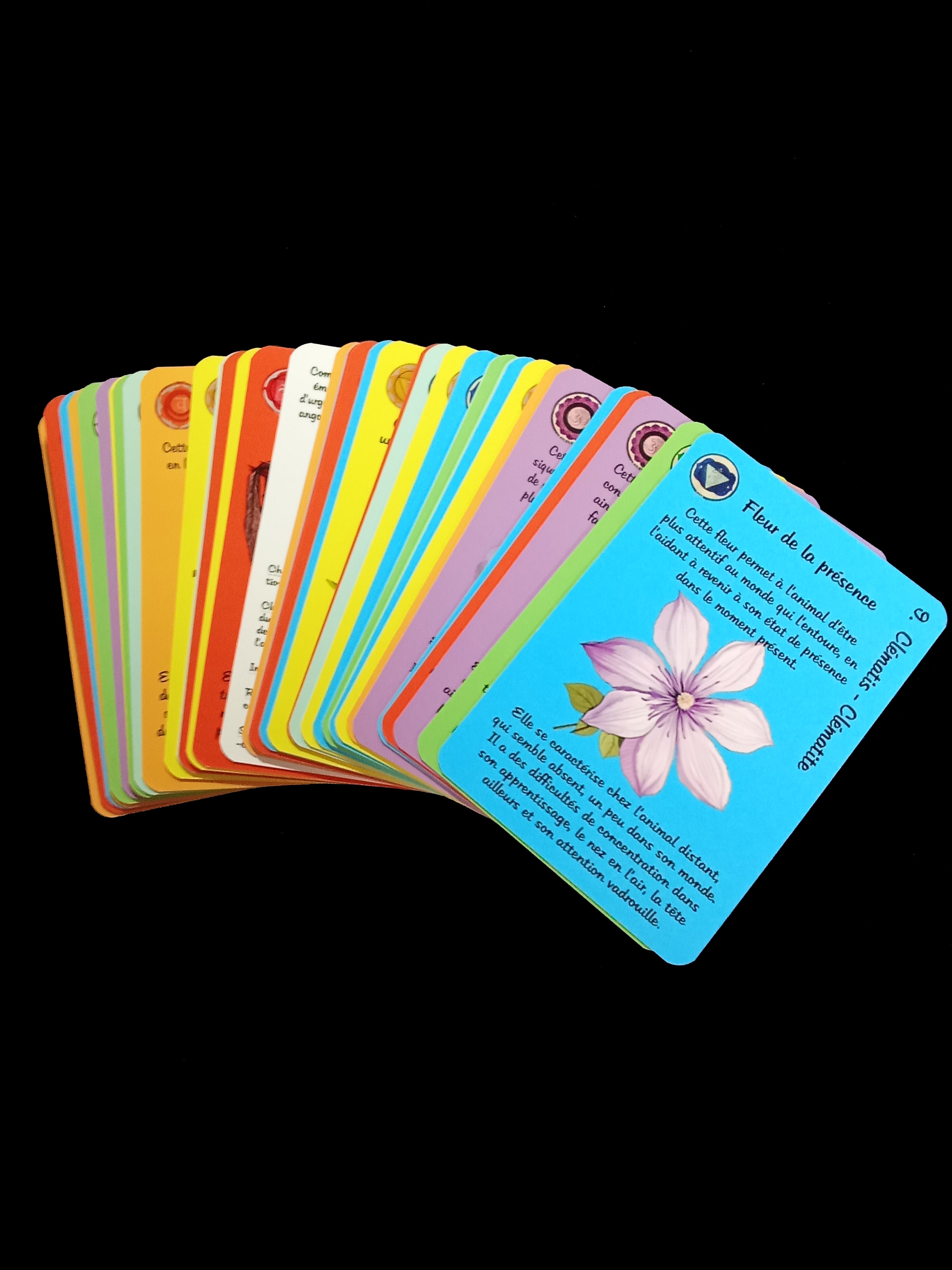 Oracle des Fleurs de Bach pour animaux